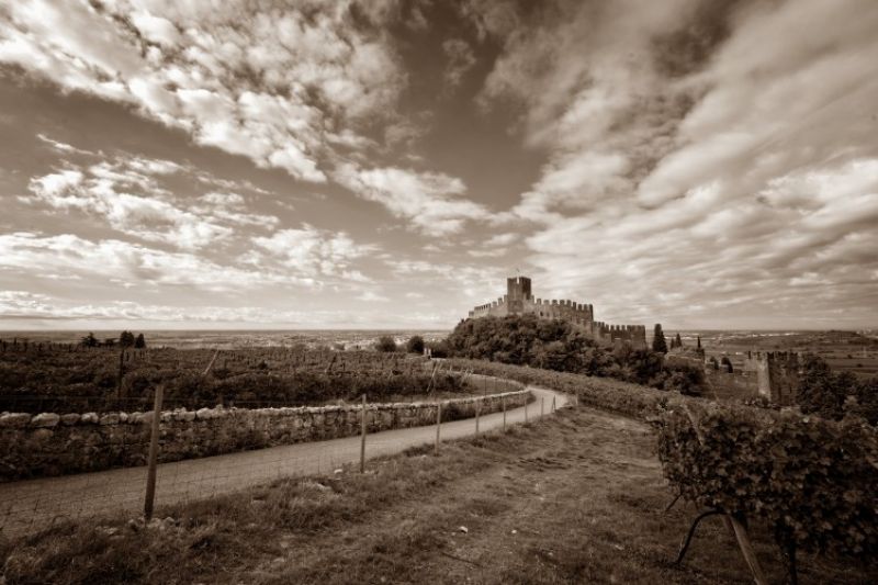 Cantina Colli Vicentini