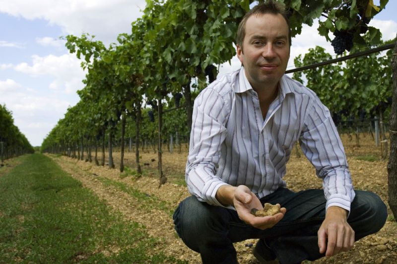 Weingut Sattler