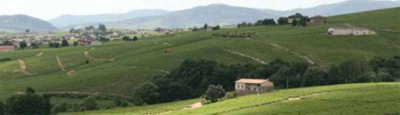 Cave de Fleurie 
